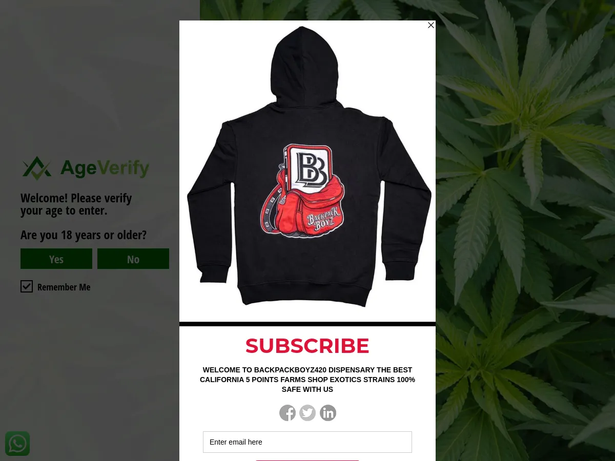 backpackboyz420.org