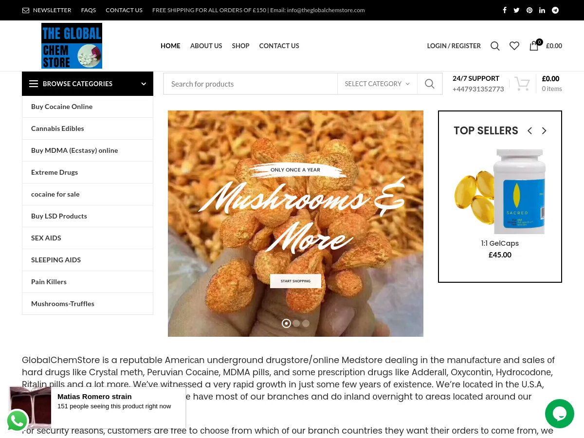theglobalchemstore.com