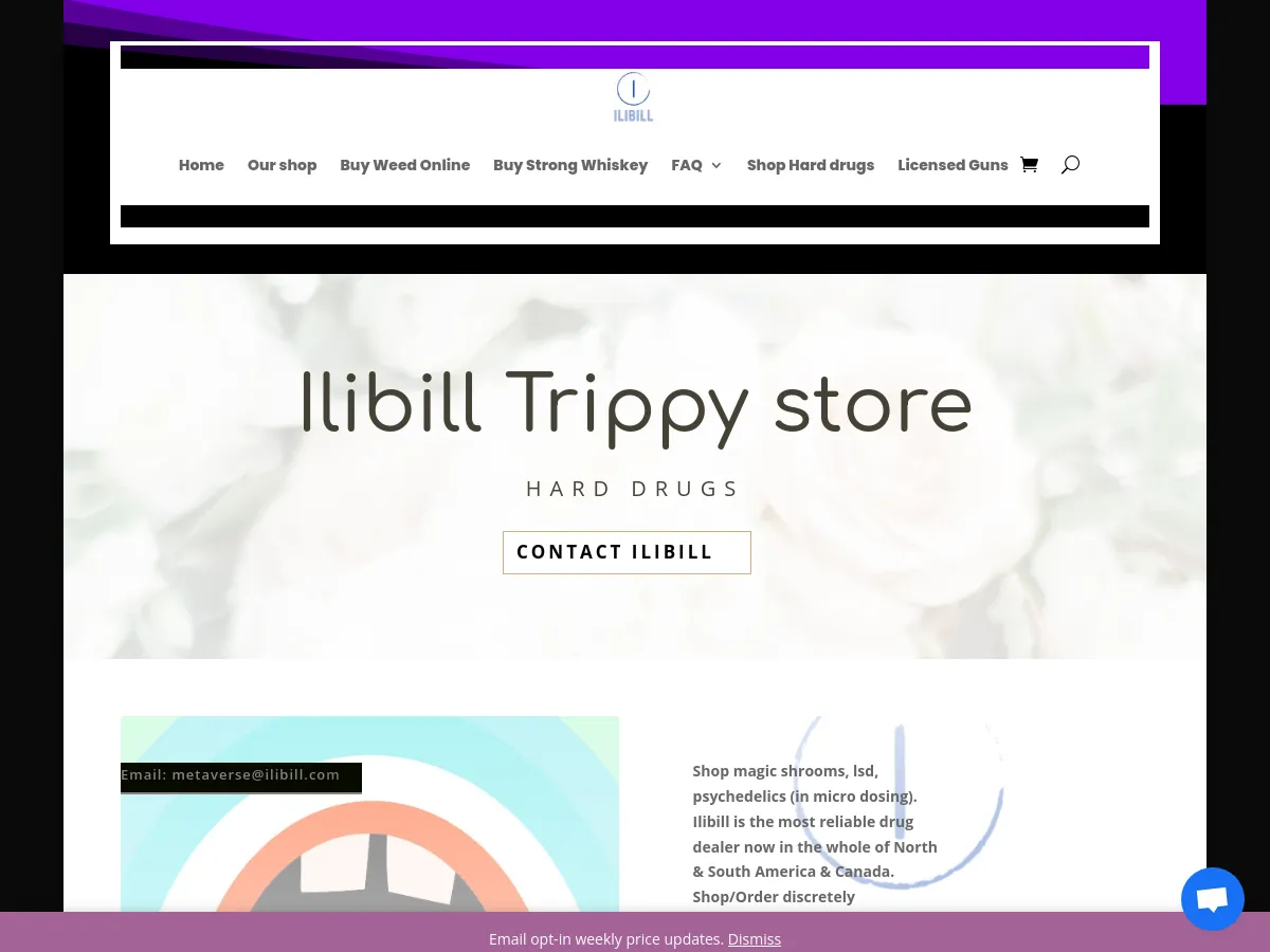 ilibill.com