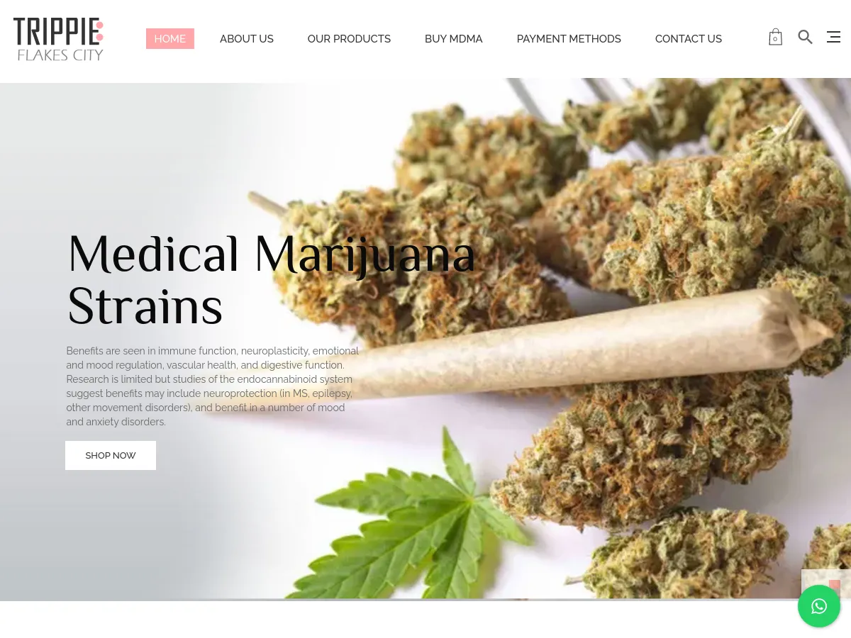 trippyflakescity.com