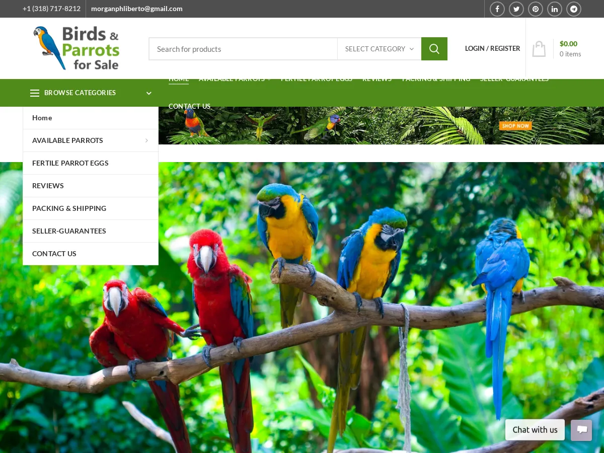 birdsandparrotsforsale.com