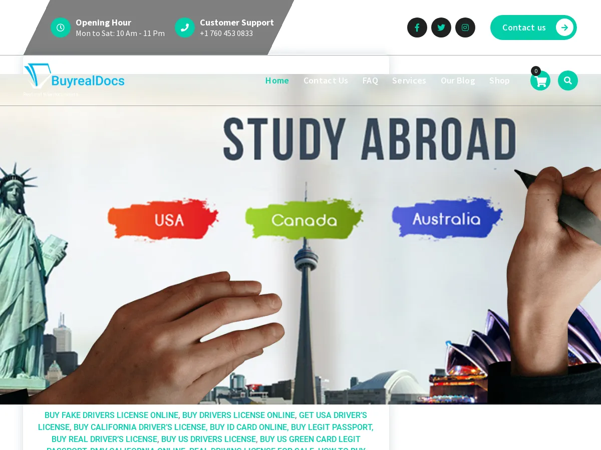 documentsinternationalonline.com