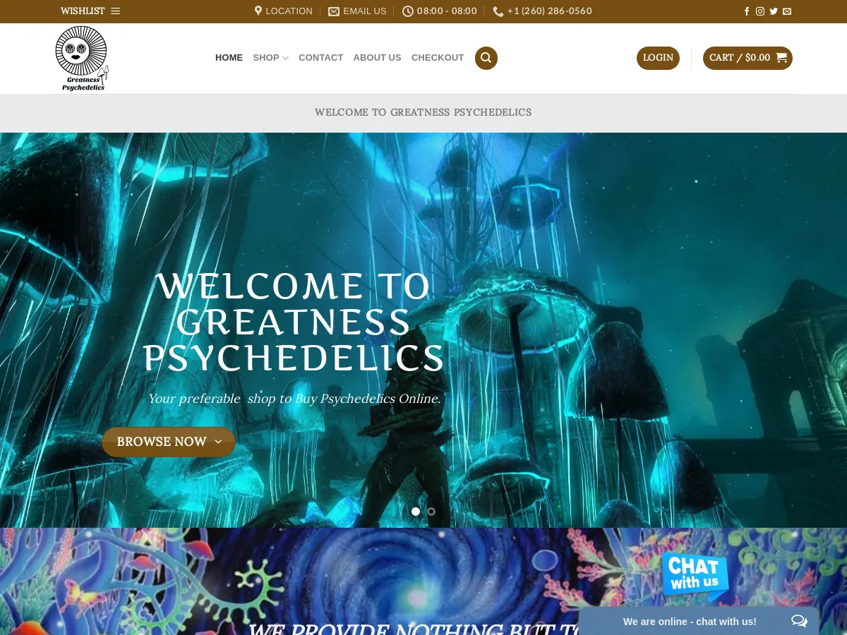 greatnesspsychedelics.com