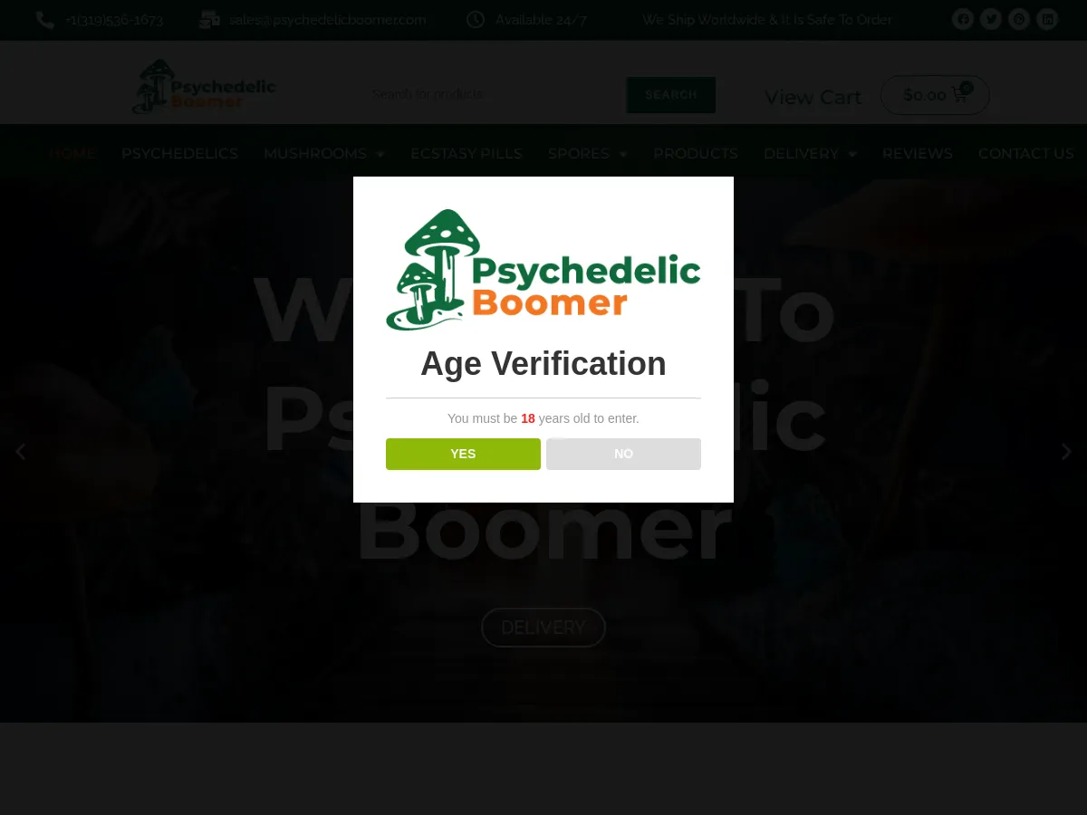 psychedelicboomer.com