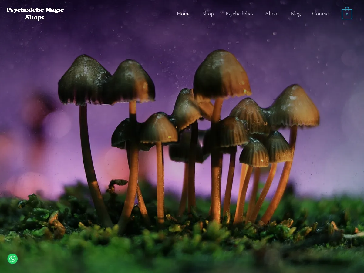 psychedelicmagicshops.com