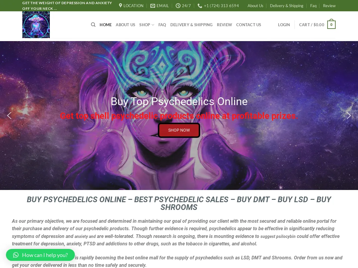psychedelicshorizon.com