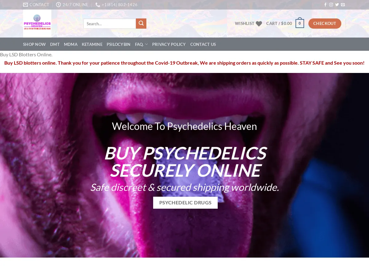 psychedelicsinside.com
