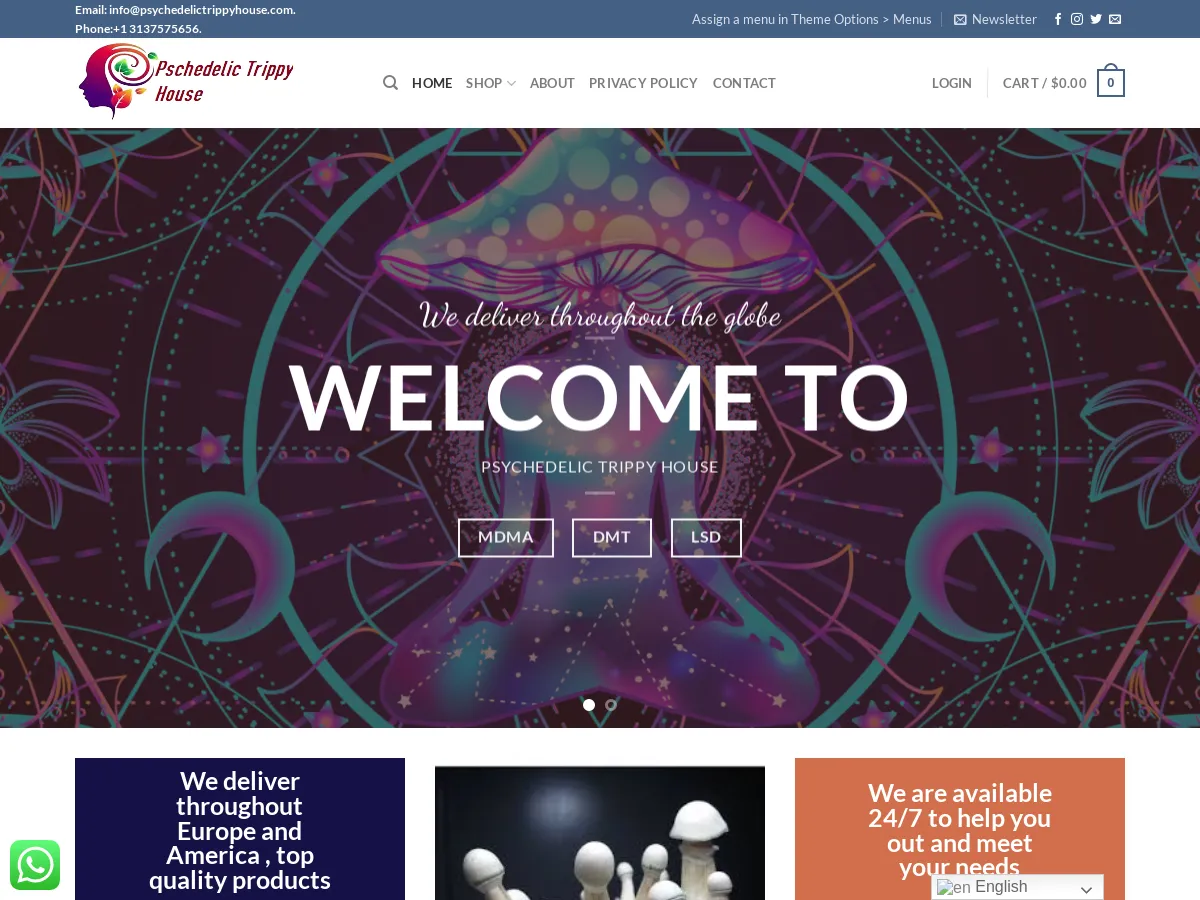 psychedelicstrippyhouse.com