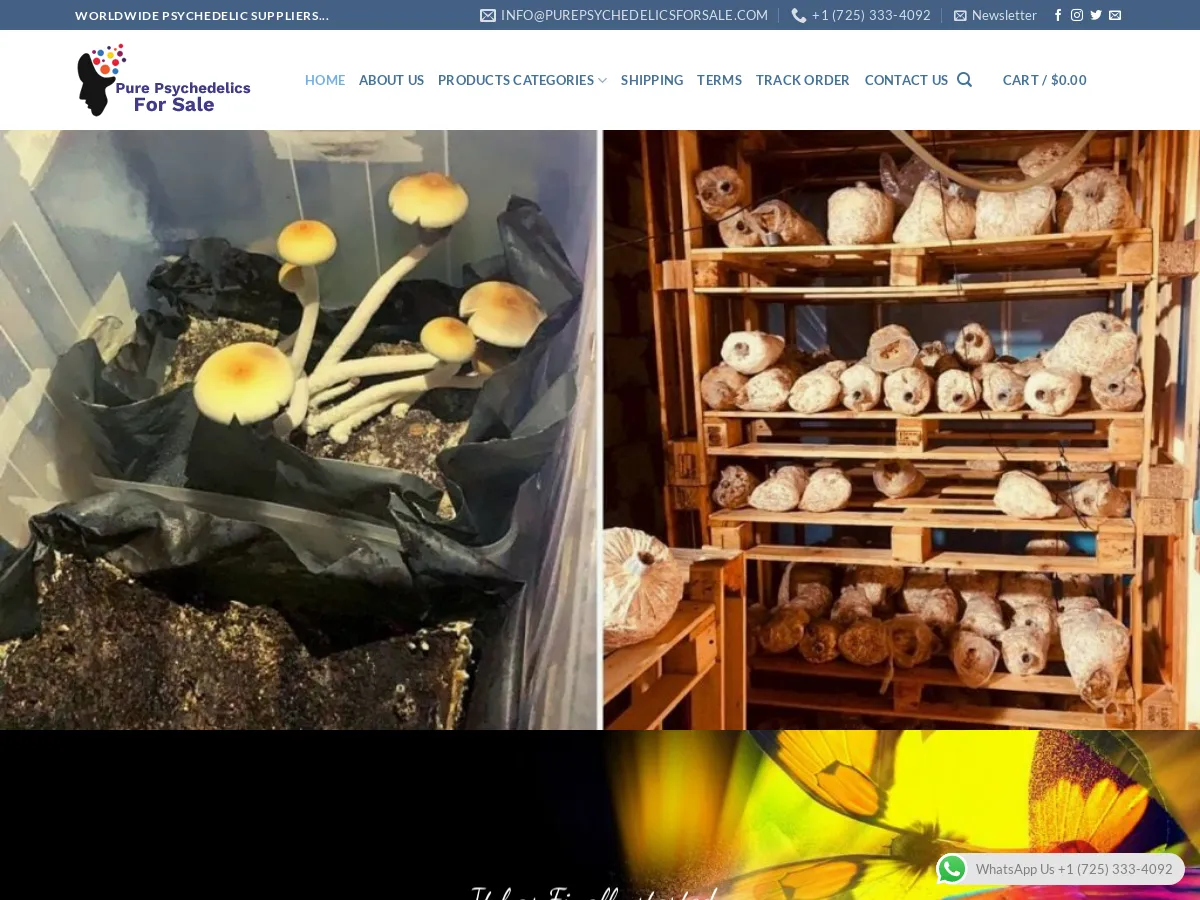 purepsychedelicsforsale.com