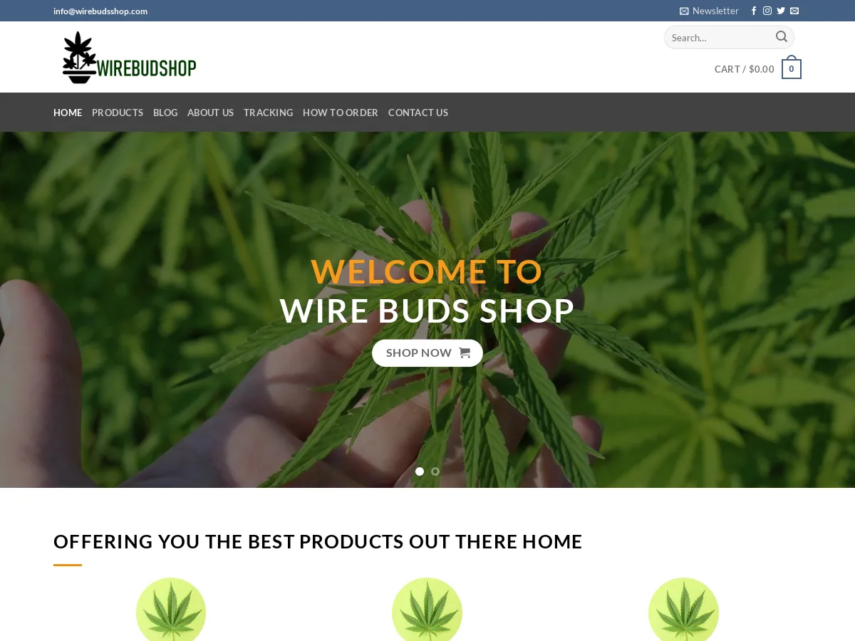 wirebudsshop.com