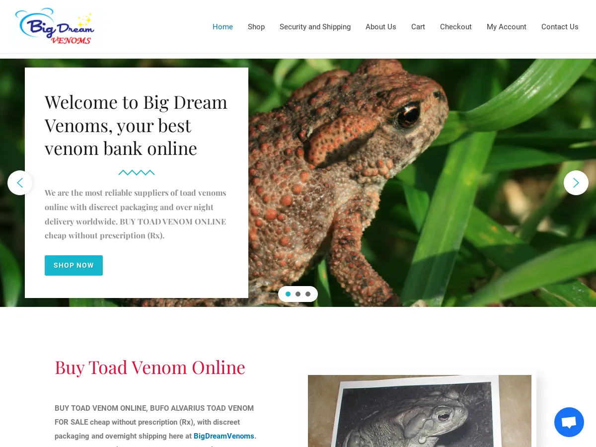 bigdreamvenomshop.com