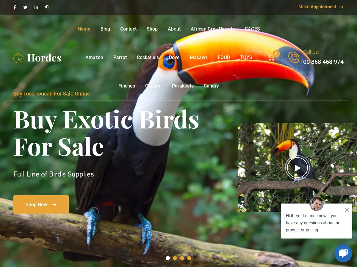 buyexoticbirdsforsale.com