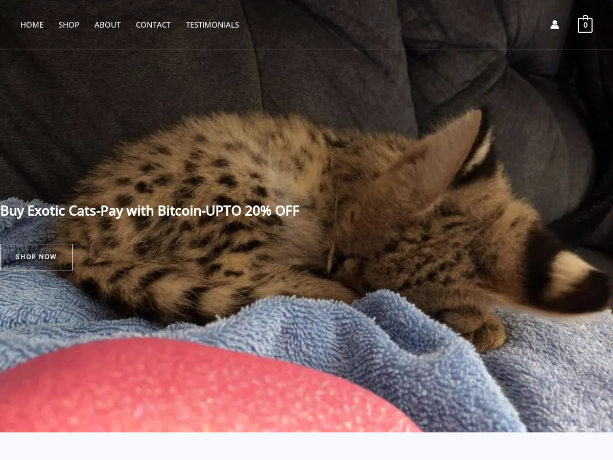 exoticcatshop.com