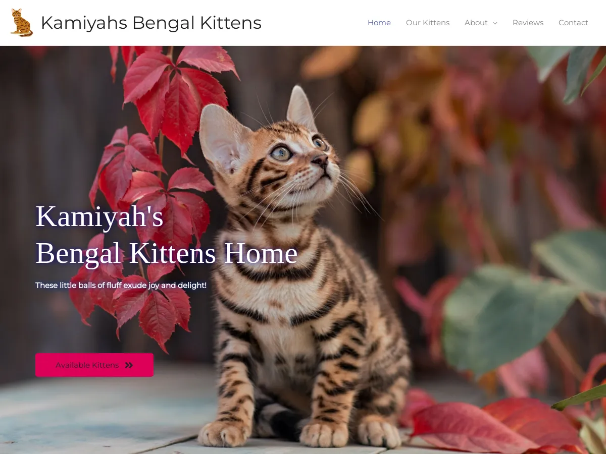 kamiyahsbengalkittens.com