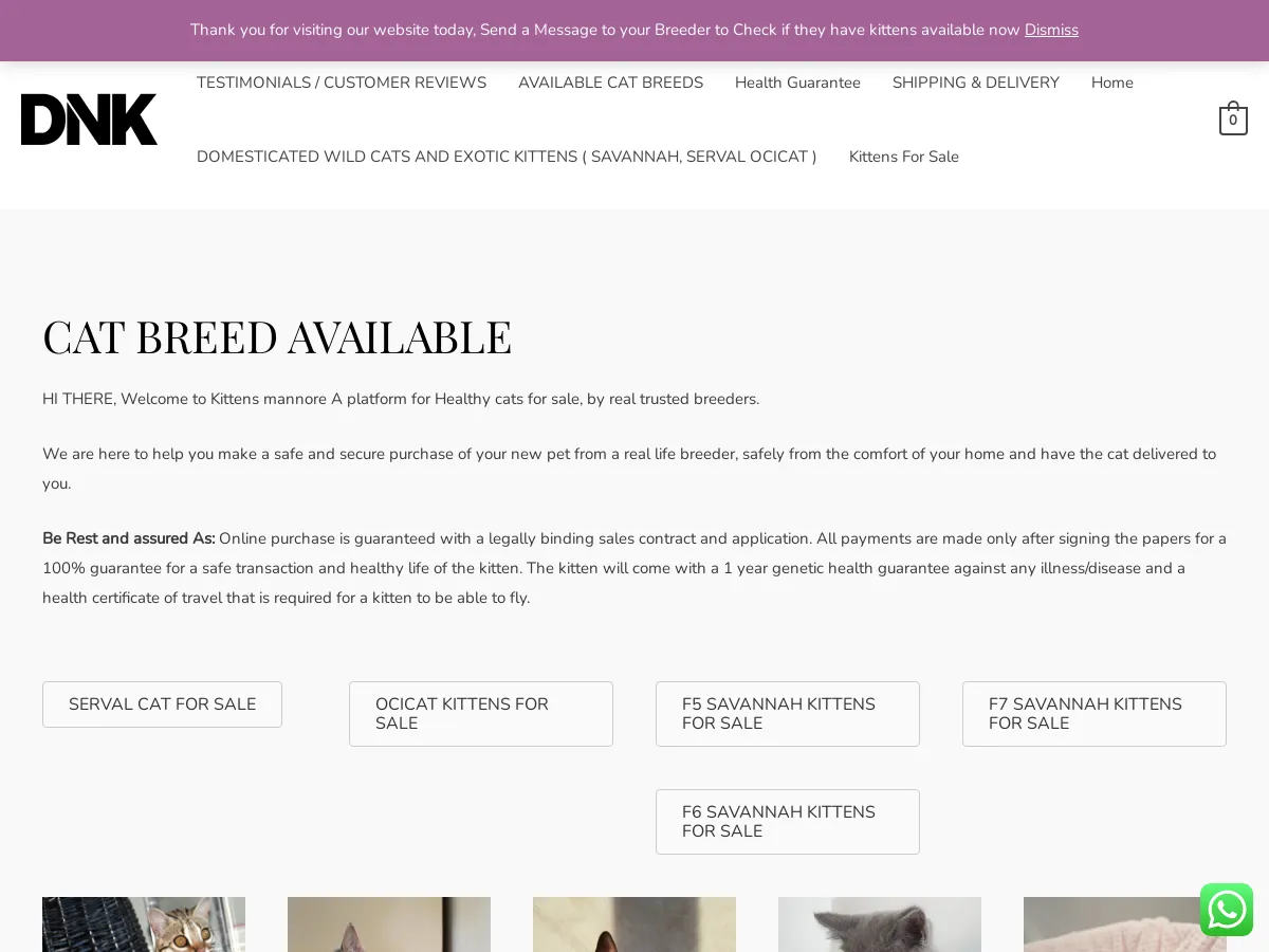 kittensmannores.store