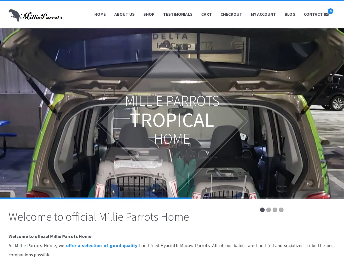 millieparrothomes.com