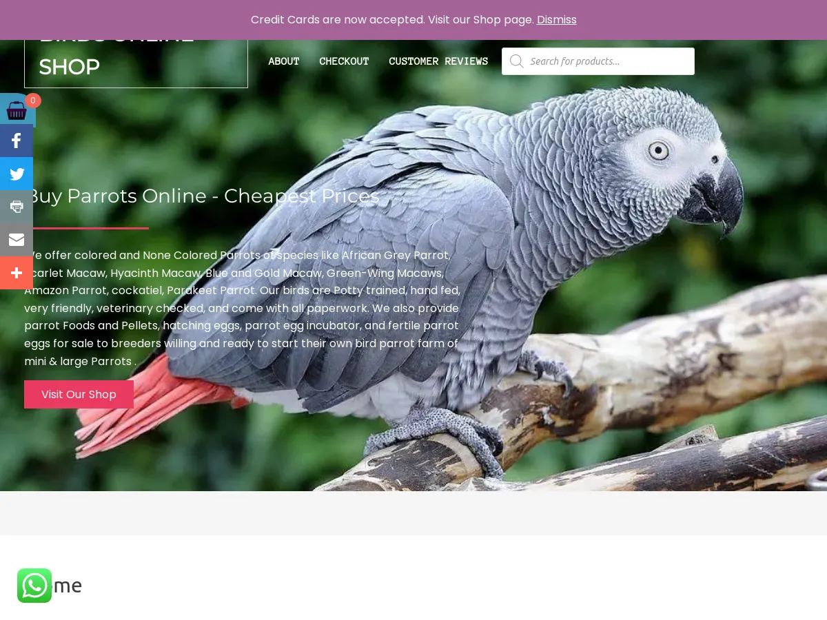 parrotssaleonline.com