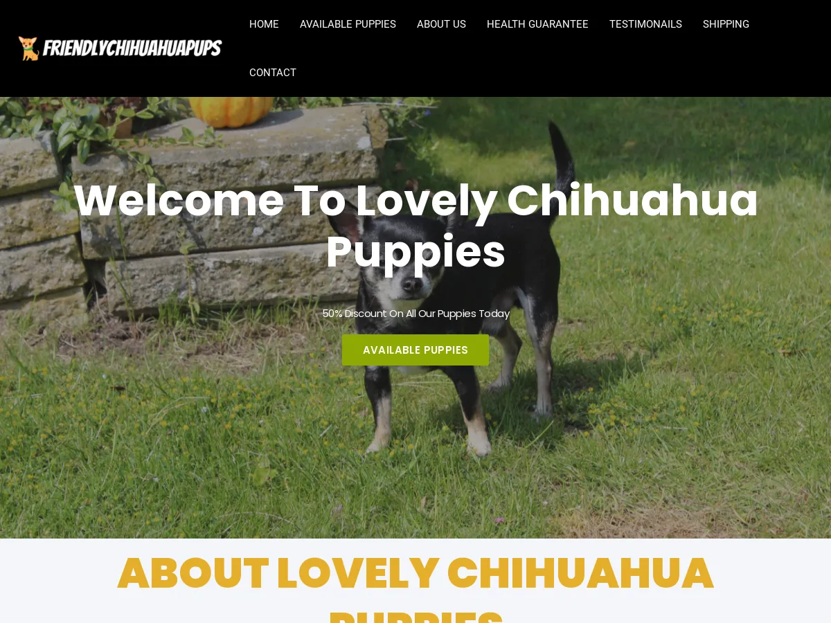 premiumchihuahuapuppies.com
