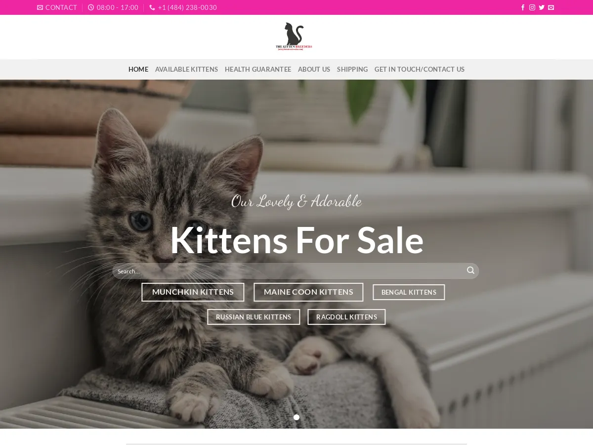 thekittenbreeders.com
