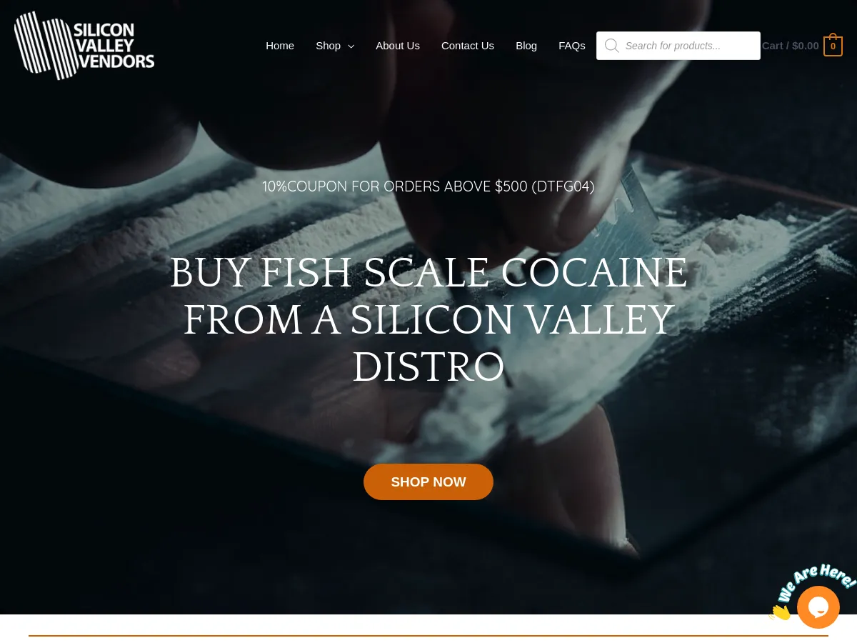 siliconvalleyvendors.com
