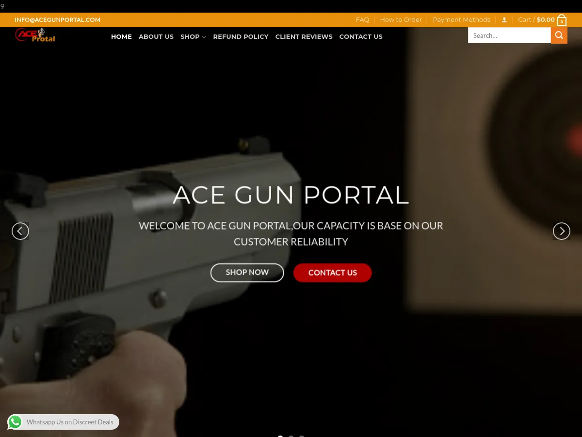 acegunportal.com