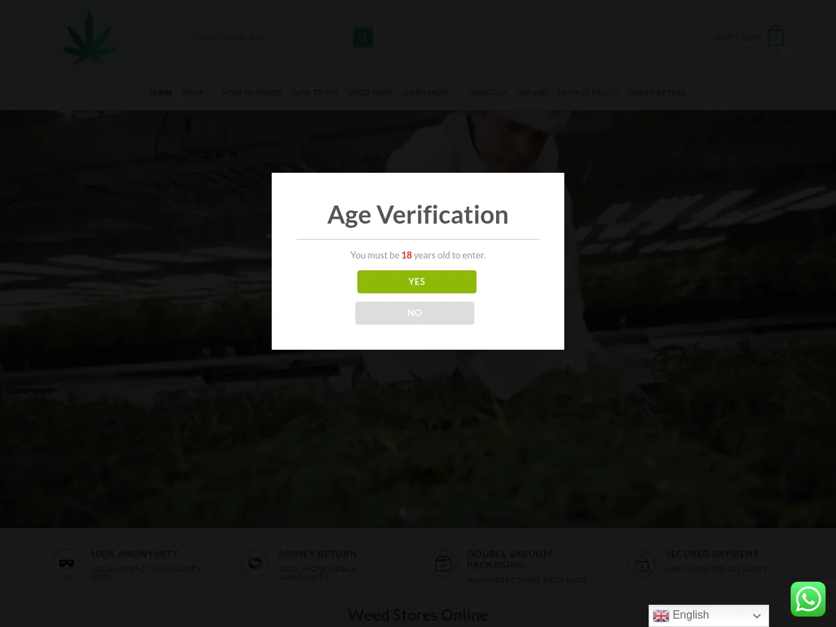 bestmjstrainsonline.com