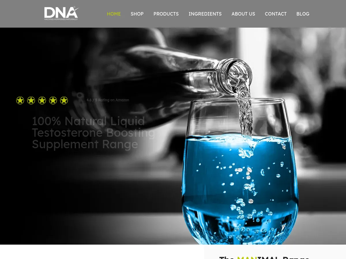 dynamicnutritionacademy.com