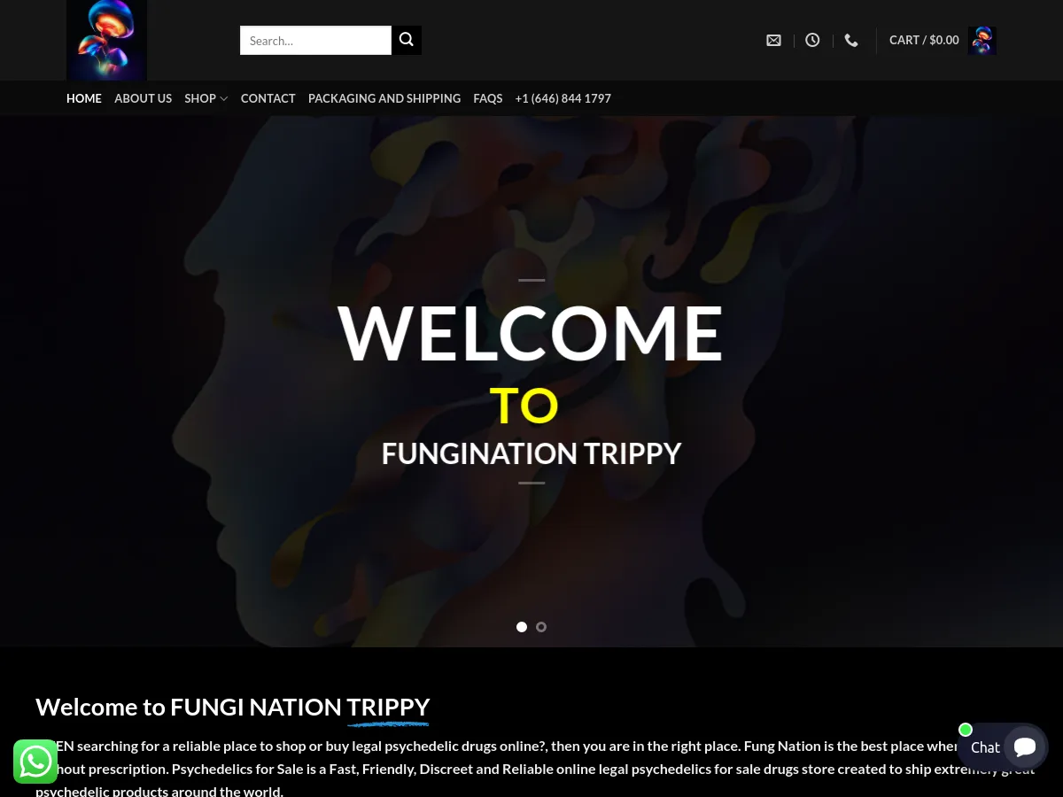 funginationtrippy.com