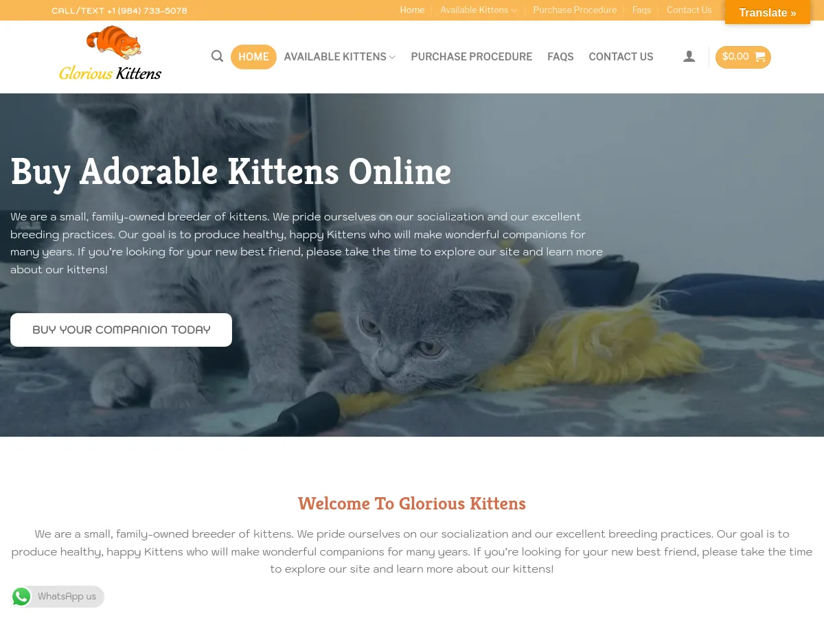 gloriouskittens.com