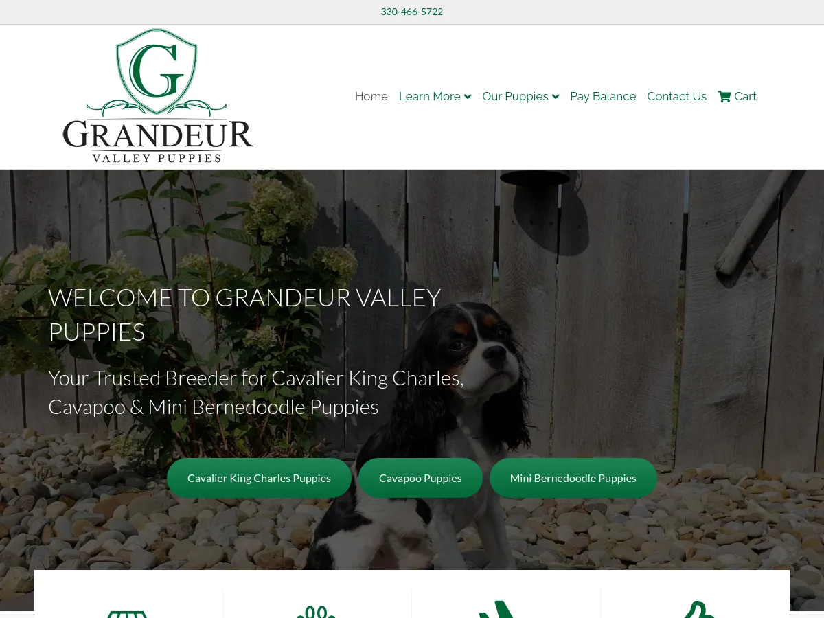 grandeurvalleypuppies.com