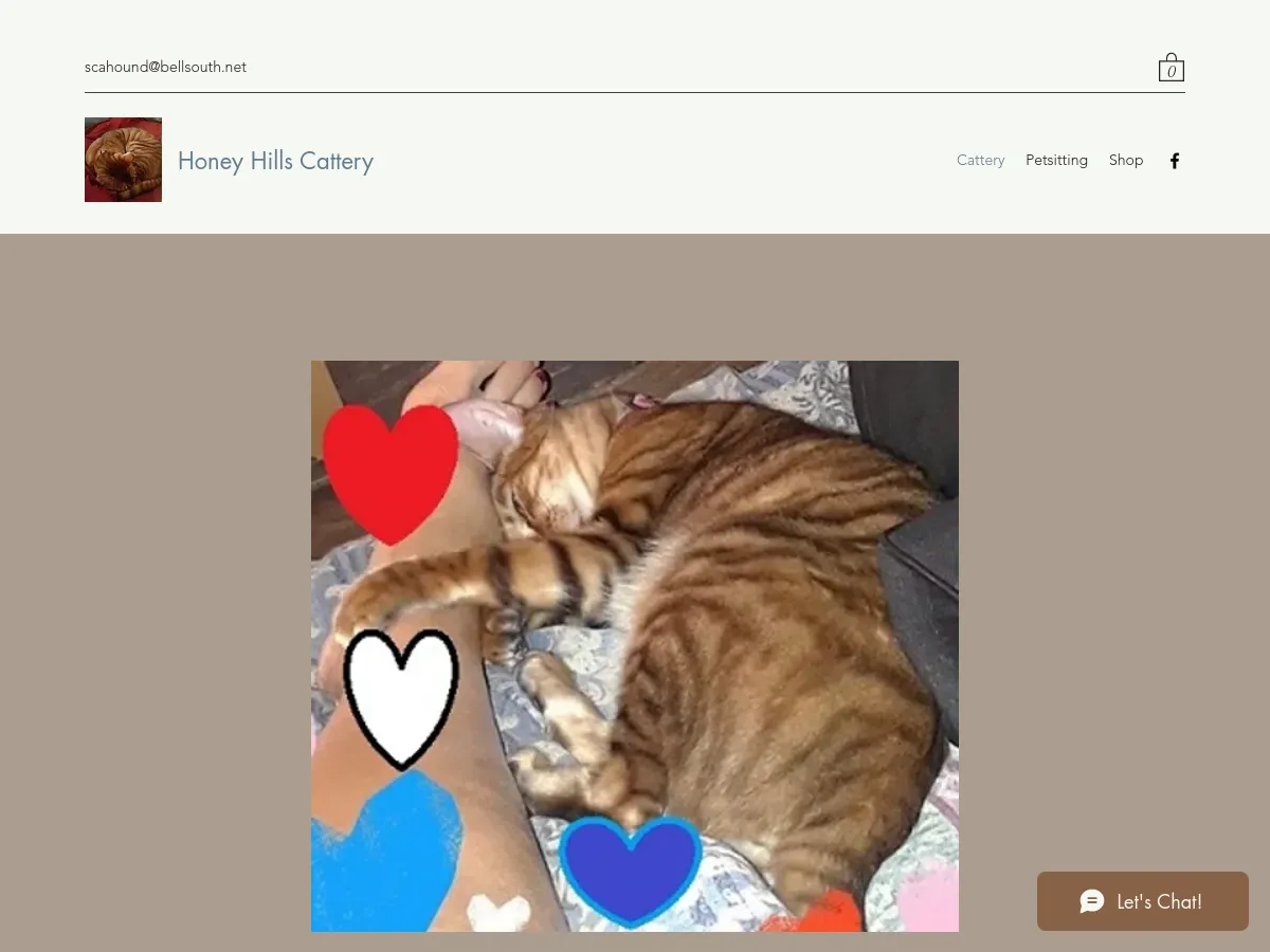 honeyhillscattery.com