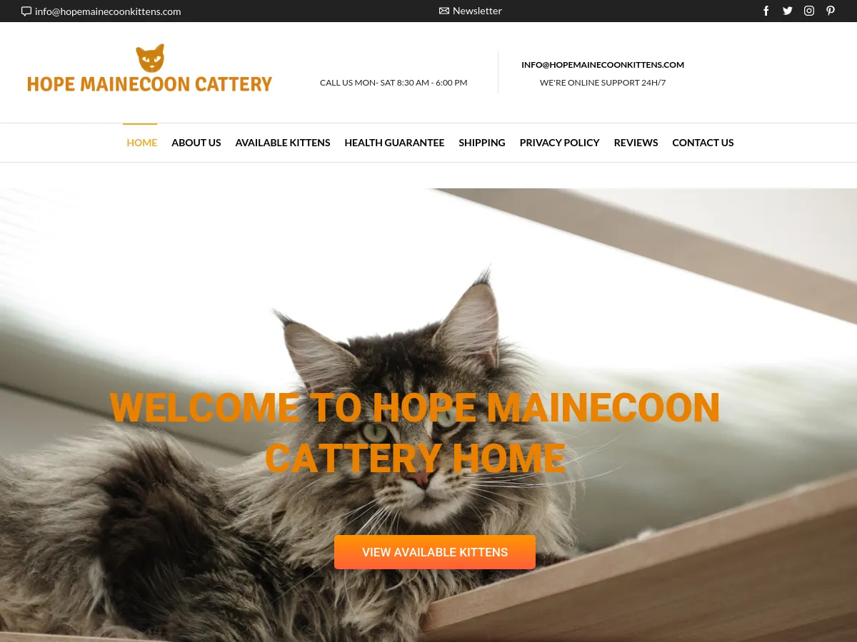 hopemainecoonkittens.com