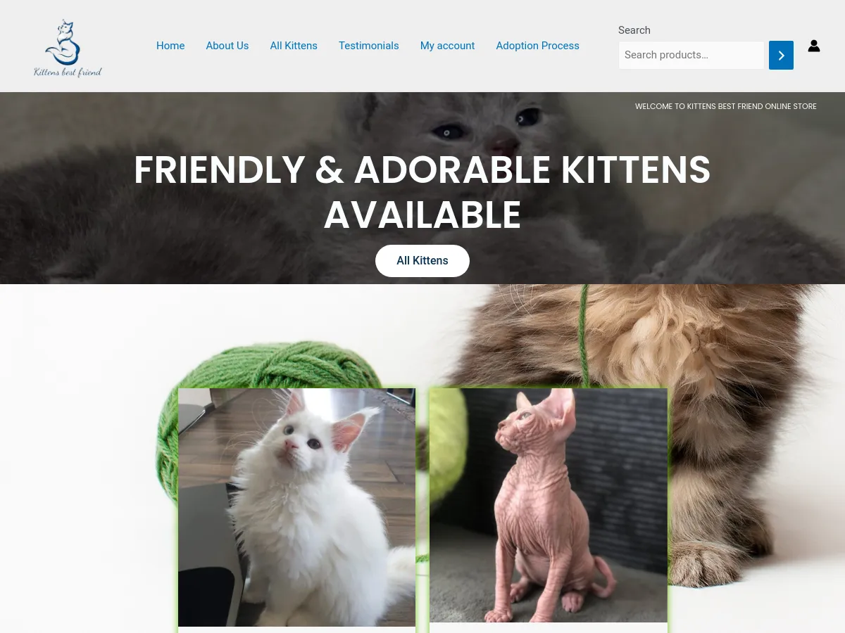 kittensbestfriend.com