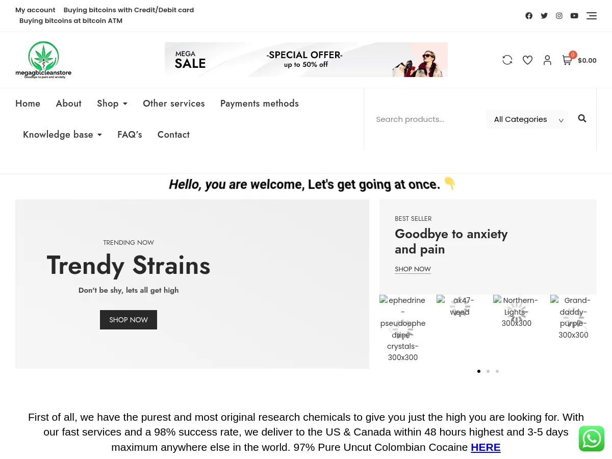 megagblcleanstore.com