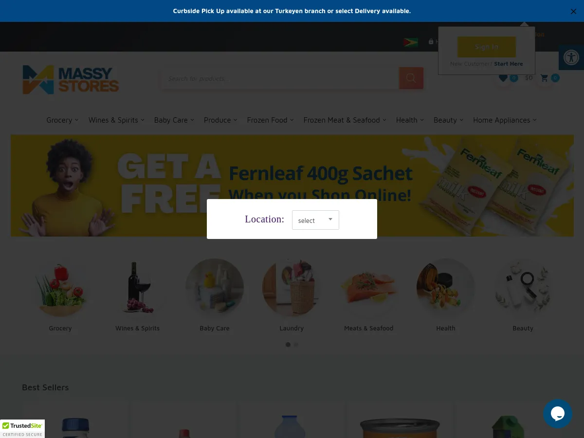 shopmassystoresgy.com