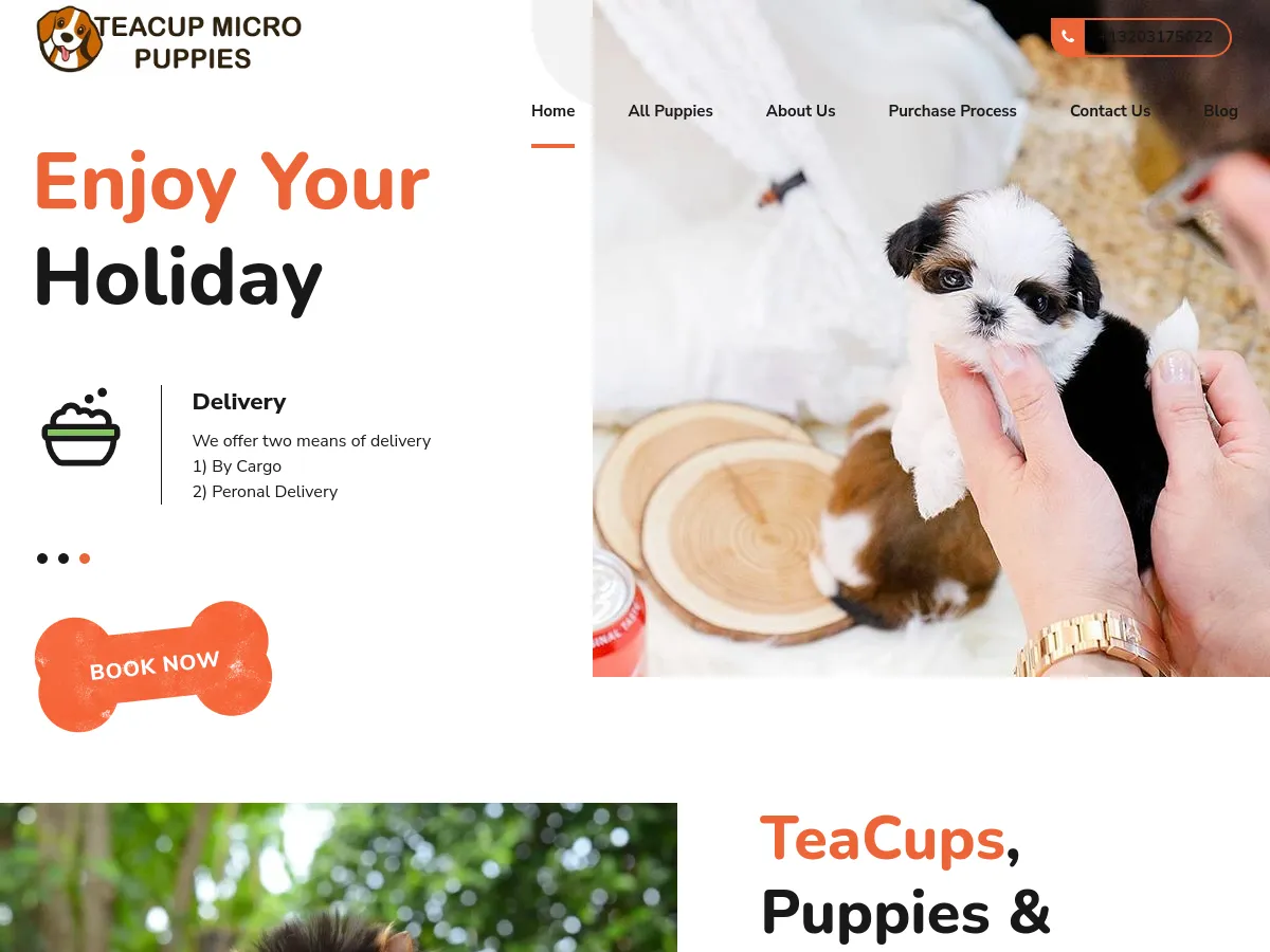 teacupmicropuppiesforsale.com