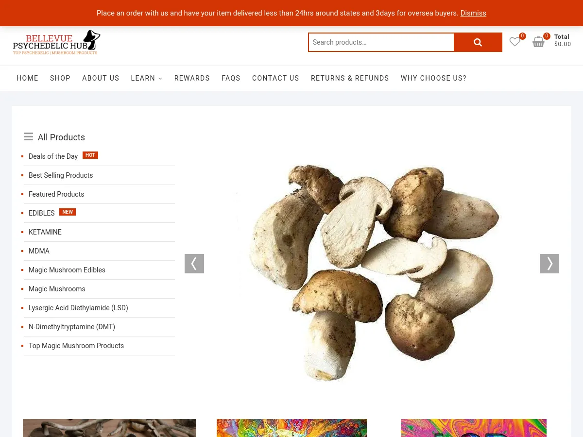 bellevuepsychedelichub.com