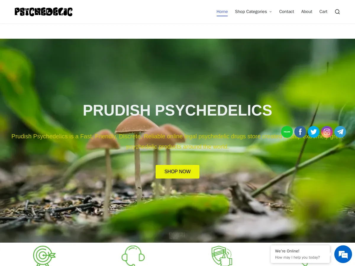 prudishpsychedelics.com