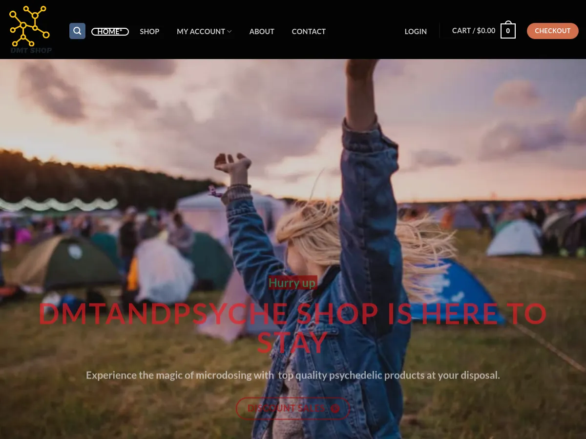 dmtandpsyche.com