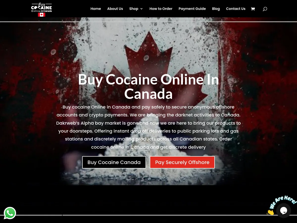 buycocaineonlineincanada.ca