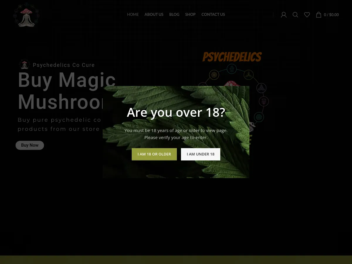 psychedelicscocure.com