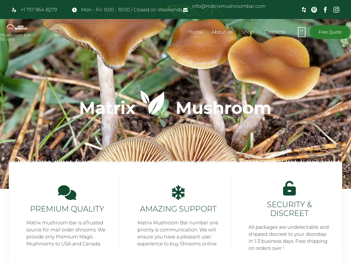 matrixmushroombar.com