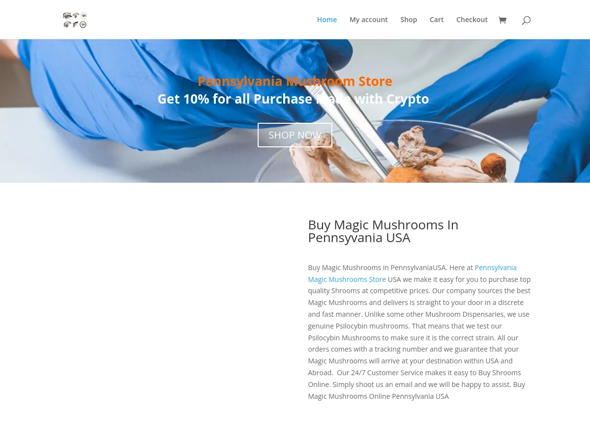 pennsylvaniamushroomsstore.com