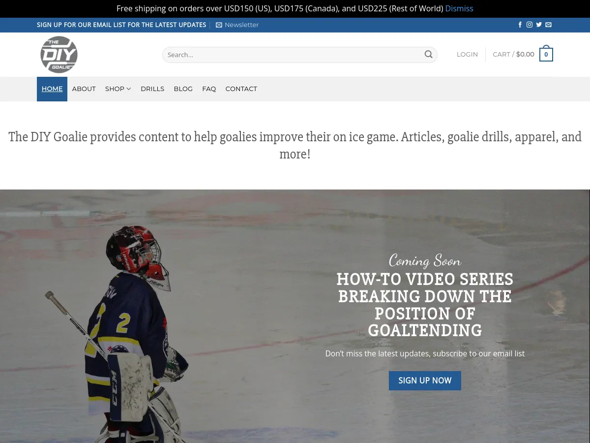 thediygoalie.com