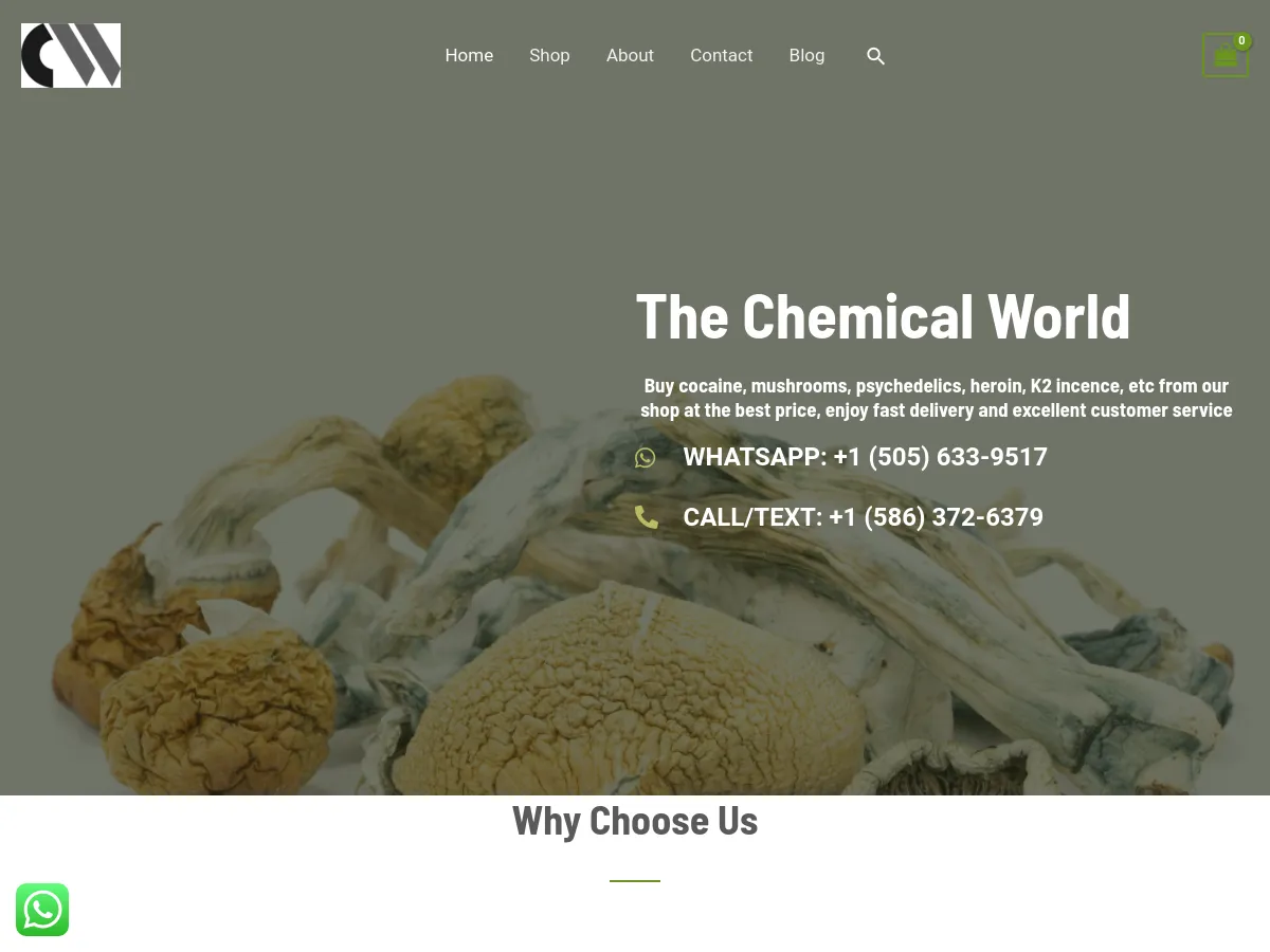 thechemicalsworld.com