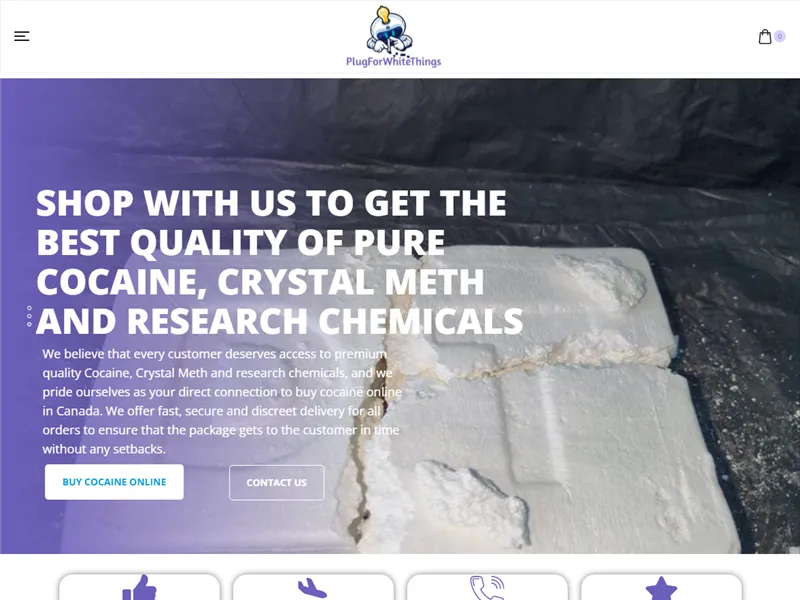 Plugforwhitethings.ca