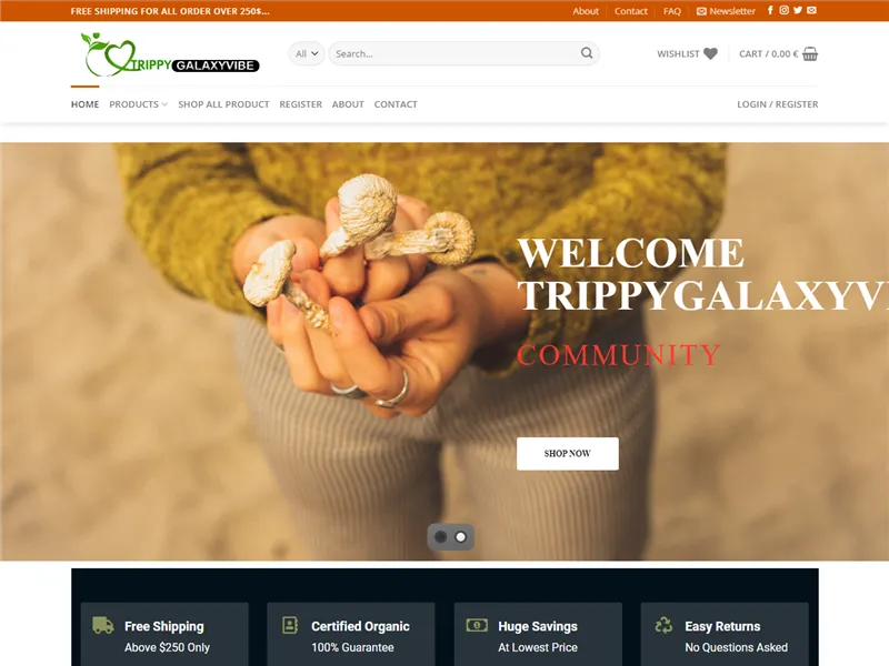 Trippygalaxyvibe.com