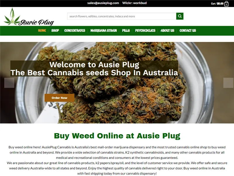 Ausieplug.com
