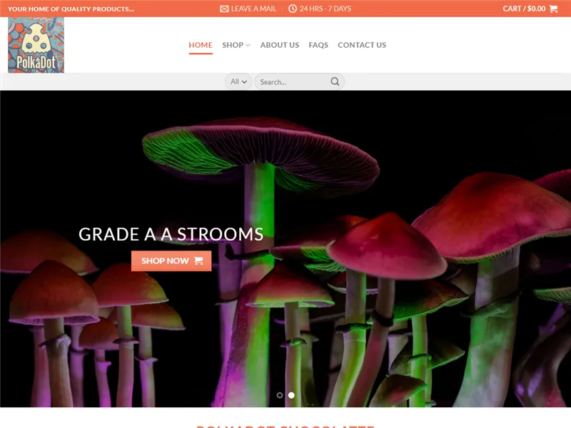 Polkadotchocolatte.com