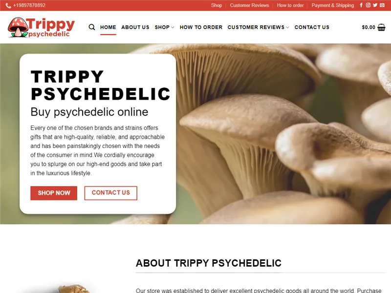 Trippy-psychedelic.com